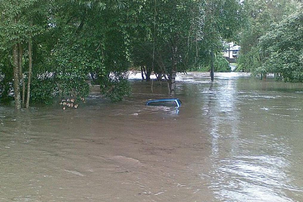 Enoggera Creek, Ashgrove
