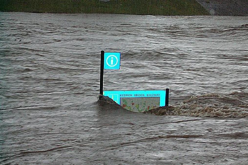 Kedron Brook Bikeway, The Grange
