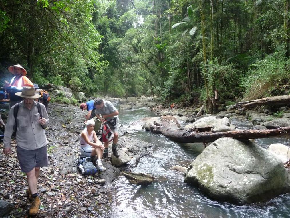 Morning tea break174