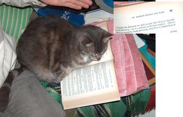 Emma reading up on signal processing theory.
