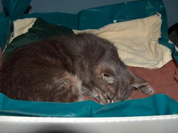 Emma's Final Hours: 2008:06:29 17:08:27
