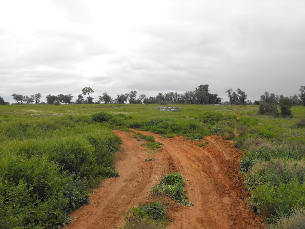 Paroo Darling National Park
