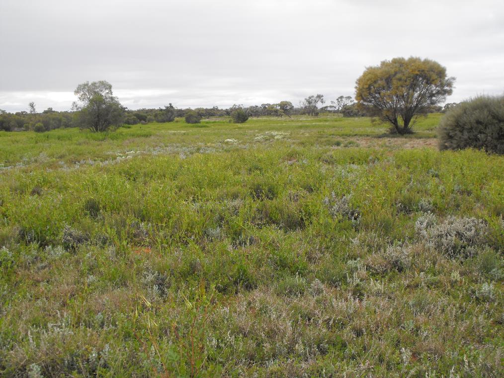 Paroo Darling National Park
