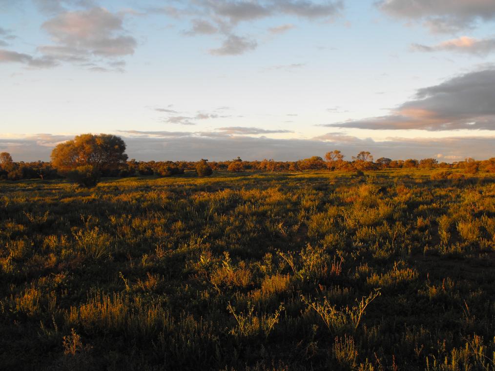 Emmdale Roadhouse
