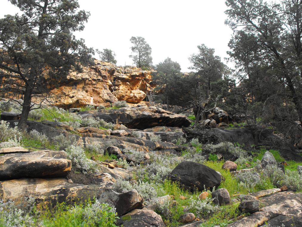 Yourambulla Caves Aboriginal Site
