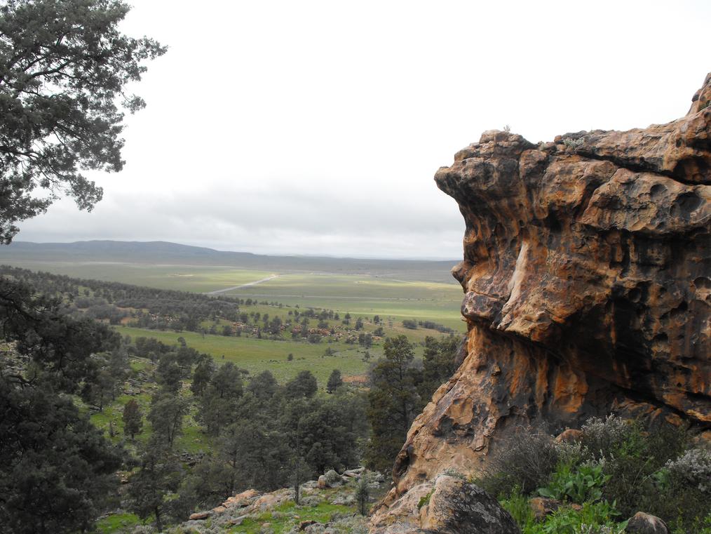 Yourambulla Caves Aboriginal Site
