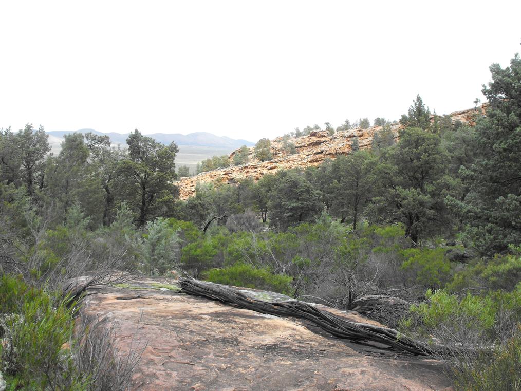 Yourambulla Caves Aboriginal Site
