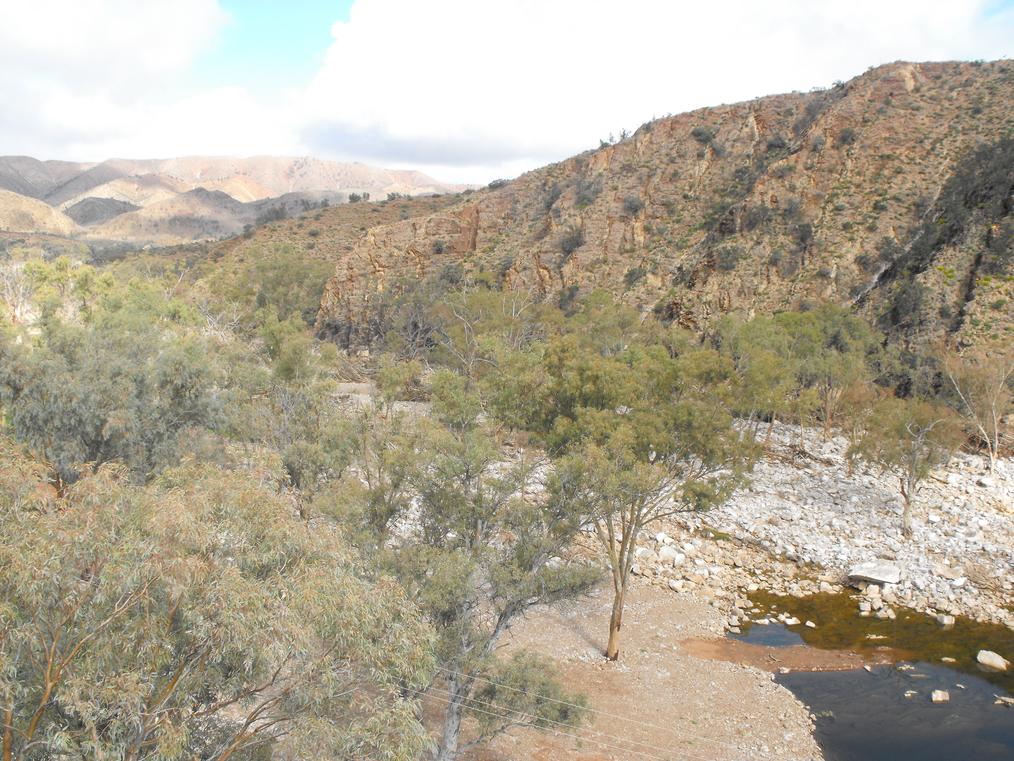 Arrunha Awi, Aroona Dam
