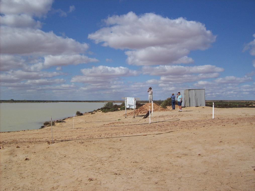 Cooper Creek Ferry
