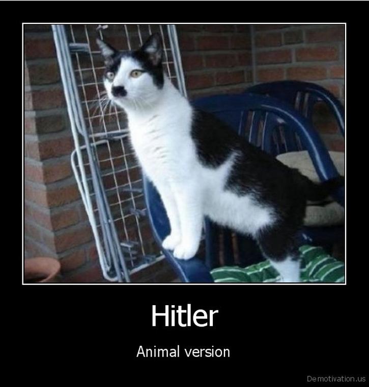 animalmotivations_05_hitler.jpg