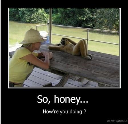 animalmotivations_08_sohoney.jpg