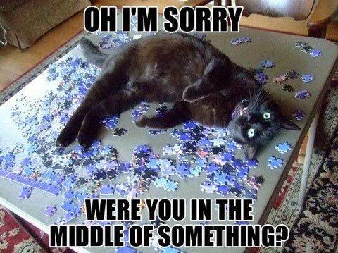 cat-puzzle.jpg
