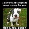 dog-fight-resignation.jpg