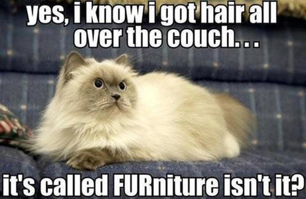 furniture.jpg