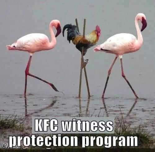 kfc-witness-protection.jpg