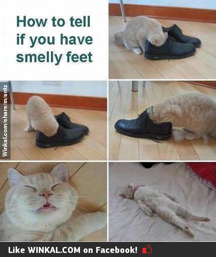 smelly-feet.jpg