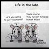 2021-02-03-life-in-the-labs.jpg