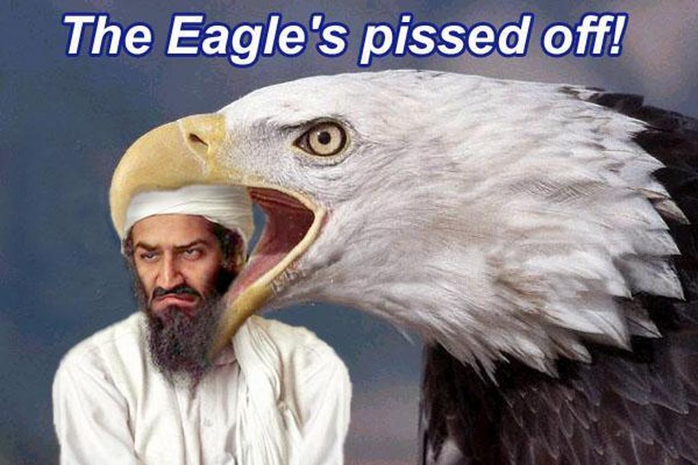 sep11-eaglepissedoff.jpg