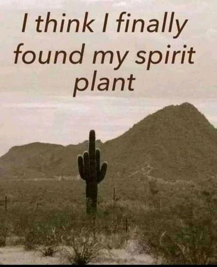 spirit-plant.jpg